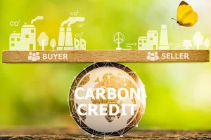 carbon-credit-58991